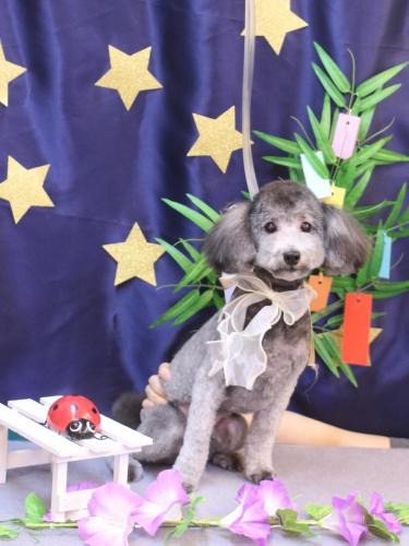 20230727マロンくん